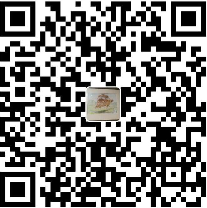 支付宝收款码